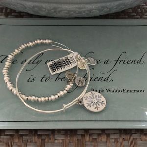 Alex and Ani snowflake bracelet